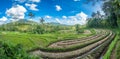 Rice fields in Sidemen valley, Bali, Indonesia