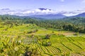 Rice fields in Sidemen valley with Mount Agung in the background, Bali, Indonesia