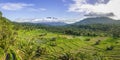 Rice fields in Sidemen valley with Mount Agung in the background, Bali, Indonesia