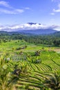 Rice fields in Sidemen valley with Mount Agung in the background, Bali, Indonesia