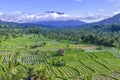Rice fields in Sidemen valley with Mount Agung in the background, Bali, Indonesia