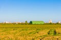 Rice fields at sunset in La Albufera Royalty Free Stock Photo