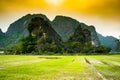 Rice fields, Tam Coc, Ninh Binh, Vietnam landscapes Royalty Free Stock Photo