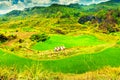 Rice fields on terraced at Chiang Mai, Thailand Royalty Free Stock Photo