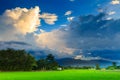 Rice fields on terraced at Chiang Mai, Thailand Royalty Free Stock Photo