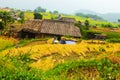 Rice fields on terraced. Fields are prepared for planting rice. Ban Phung, Huyen Hoang Su Phi, Ha Giang Province. Northern Vietnam Royalty Free Stock Photo