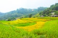 Rice fields on terraced. Fields are prepared for planting rice. Ban Phung, Huyen Hoang Su Phi, Ha Giang Province. Northern Vietnam Royalty Free Stock Photo