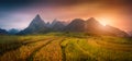 Rice fields on terraced with Mount Fansipan background at sunset