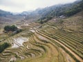 Rice fields on terraced mountain farm landscapes Lao Cai province, Sapa Viet Nam, Northwest Vietnam