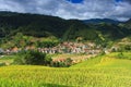 Rice fields on terraced of Mu Cang Chai