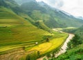 Rice fields on terraced of Mu Cang Chai, YenBai, Rice fields prepare the harvest at Northwest Vietnam. Vietnam landscapes. Royalty Free Stock Photo