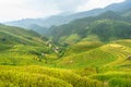 Rice fields on terraced of Mu Cang Chai, YenBai, Rice fields prepare the harvest at Northwest Vietnam. Vietnam landscapes. Royalty Free Stock Photo