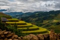 Rice fields on terraced of Mu Cang Chai, YenBai.