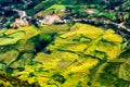 Rice fields on terraced of Mu Cang Chai, YenBai, Vietnam.