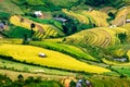 Rice fields on terraced of Mu Cang Chai, YenBai, Vietnam.