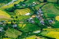 Rice fields on terraced of Mu Cang Chai, YenBai, Vietnam.