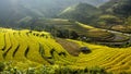 Rice fields on terraced of Mu Cang Chai, YenBai, Vietnam.