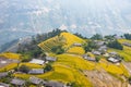 Rice fields on terraced. Fields are prepared for planting rice. Ban Phung. Ha Giang. Huyen Hoang Su Phi. Northern Vietnam