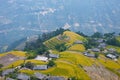 Rice fields on terraced. Fields are prepared for planting rice. Ban Phung. Ha Giang. Huyen Hoang Su Phi. Northern Vietnam Royalty Free Stock Photo