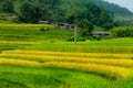 Rice fields on terraced. Fields are prepared for planting rice. Ban Phung, Huyen Hoang Su Phi, Ha Giang Province. Northern Vietnam Royalty Free Stock Photo