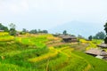 Rice fields on terraced. Fields are prepared for planting rice. Ban Phung, Huyen Hoang Su Phi, Ha Giang Province. Northern Vietnam Royalty Free Stock Photo