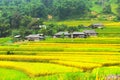 Rice fields on terraced. Fields are prepared for planting rice. Ban Phung, Huyen Hoang Su Phi, Ha Giang Province. Northern Vietnam Royalty Free Stock Photo