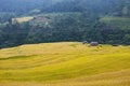 Rice fields on terraced. Fields are prepared for planting rice. Nam Dan, Huyen Xin Man, Ha Giang Province. Northern Vietnam