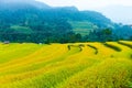 Rice fields on terraced. Fields are prepared for planting rice. Nam Dan, Huyen Xin Man, Ha Giang Province. Northern Vietnam