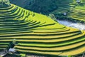 Rice fields on terraced in rainny season at Mu Cang Chai, Yen Bai, Vietnam. Royalty Free Stock Photo