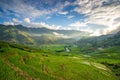 Rice fields on terraced in rainny season at SAPA, Lao Cai, Vietnam. Royalty Free Stock Photo