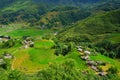 Rice fields on terraced in rainny season at SAPA, Lao Cai, Vietnam. Royalty Free Stock Photo