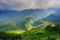 Rice fields on terraced in rainny season at SAPA, Lao Cai, Vietnam. Royalty Free Stock Photo