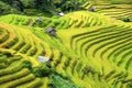 Rice fields terraced and small Village in vietnam