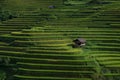 Rice fields on terraced in sunset at Mu Cang Chai, Yen Bai, Vietnam. Royalty Free Stock Photo