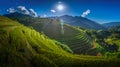 Rice fields on terraced with wooden pavilion on blue sky background in Mu Cang Chai, YenBai, Vietnam. Royalty Free Stock Photo