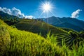 Rice fields on terraced with wooden pavilion on blue sky background in Mu Cang Chai, YenBai, Vietnam Royalty Free Stock Photo