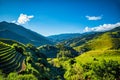 Rice fields on terraced with wooden pavilion on blue sky background in Mu Cang Chai, YenBai, Vietnam Royalty Free Stock Photo