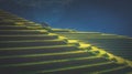 Rice fields on terraced with wooden pavilion on blue sky background in Mu Cang Chai, YenBai, Vietnam Royalty Free Stock Photo