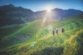 Rice fields on terraced with wooden pavilion on blue sky background in Mu Cang Chai, YenBai, Vietnam Royalty Free Stock Photo