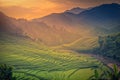 Rice fields on terraced with wooden pavilion at sunrise in Mu Ca Royalty Free Stock Photo