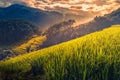 Rice fields on terraced with wooden pavilion at sunrise in Mu Cang Chai, YenBai, Vietnam Royalty Free Stock Photo