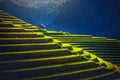 Rice fields on terraced with wooden pavilion at sunrise in Mu Cang Chai, YenBai, Vietnam Royalty Free Stock Photo