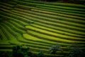 Rice fields on terraced with wooden pavilion at sunrise in Mu Cang Chai, YenBai, Vietnam Royalty Free Stock Photo