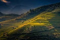 Rice fields on terraced with wooden pavilion at sunrise in Mu Ca Royalty Free Stock Photo