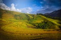 Rice fields on terraced with wooden pavilion at sunset in Mu Can Royalty Free Stock Photo