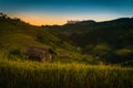 Rice fields on terraced with wooden pavilion at sunset in Mu Can Royalty Free Stock Photo