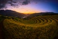 Rice fields on terraced with wooden pavilion at sunset in Mu Can Royalty Free Stock Photo