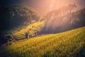 Rice fields on terraced with wooden pavilion at sunset in Mu Can Royalty Free Stock Photo