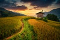 Rice fields on terraced with wooden pavilion at sunset in Mu Cang Chai, YenBai, Vietnam Royalty Free Stock Photo
