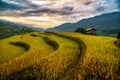 Rice fields on terraced with wooden pavilion at sunset in Mu Cang Chai, YenBai, Vietnam Royalty Free Stock Photo